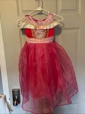 Adonna Hot Pink Princess Dress with Shimmer Accents
